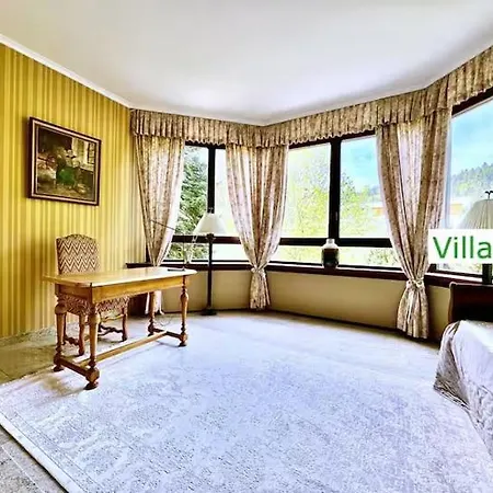 Tatil Evi Luxury Holidays Emg Baden-baden 22p Sauna *